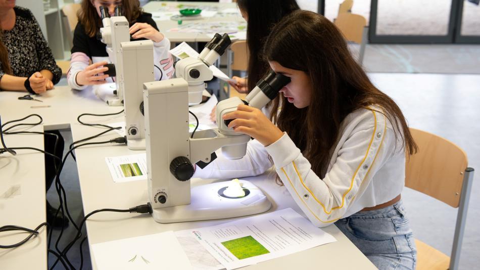 [LNF26] Welche Rolle spielen Samen im Artenschutz?