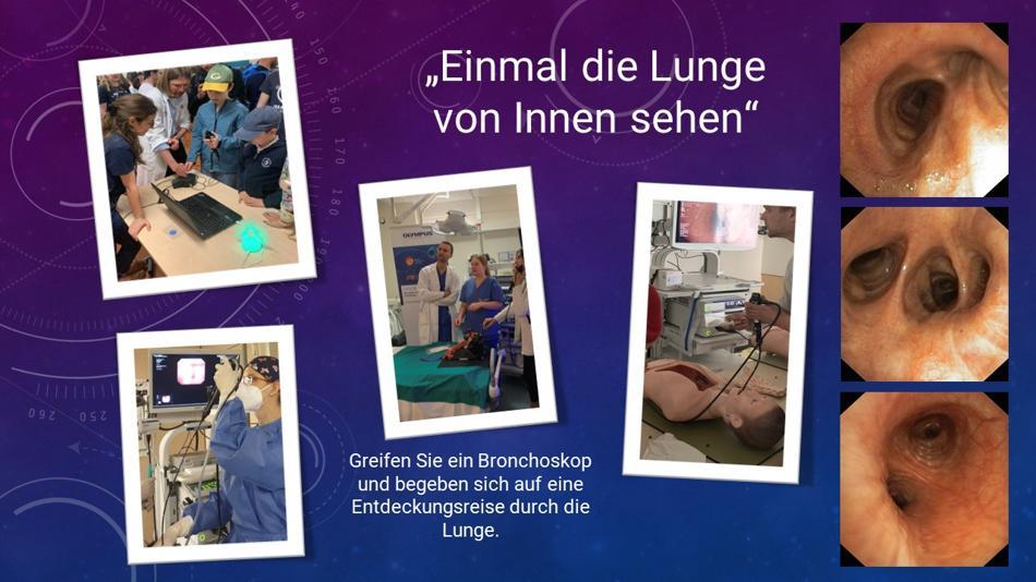 [LNF26] Einmal die Lunge von innen sehen
