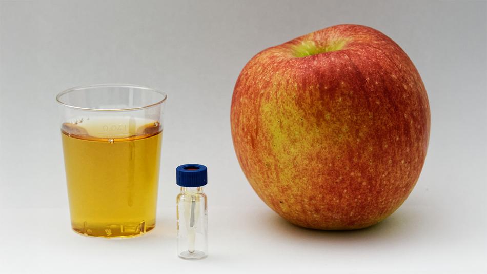 [LNF26] Welche Moleküle sorgen für einen guten Geschmack?