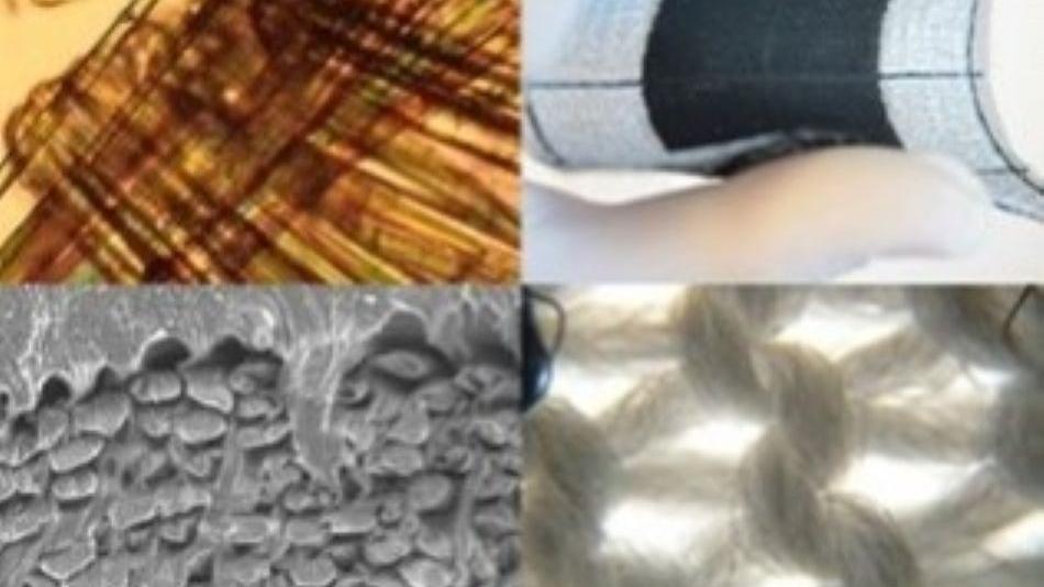[LNF26] D02: Wie trägt Textil- und Faserforschung zu einer nachhaltigen Welt bei?
