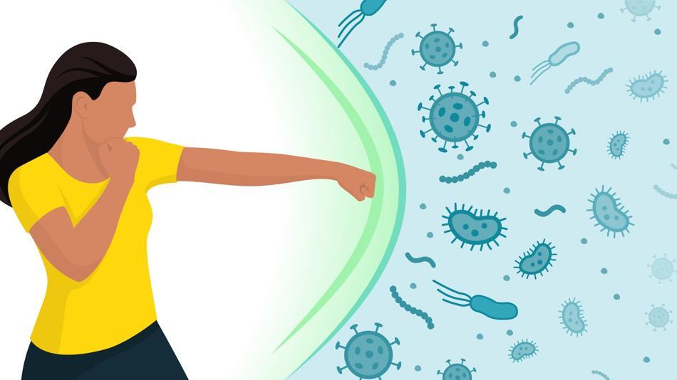 [LNF26] Faszinierendes Immunsystem - Immunology Lab
