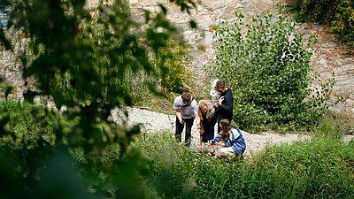 Natur entdecken: Liesing GB*Spaziergang in Wien