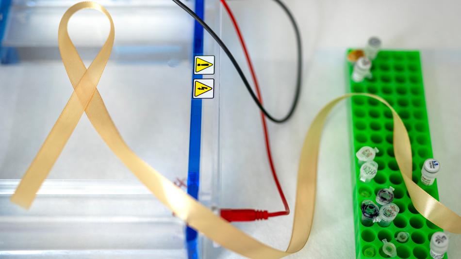 [LNF26] Wie werden neue Therapien auf den Prüfstand gestellt?