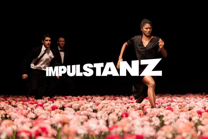 Impulstanz Festival Lounge