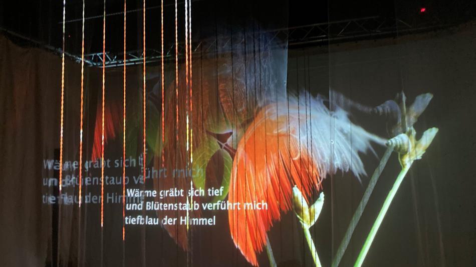 [LNF26] A25 Wie können elektronische Fäden für die Interaktion mit Ton und Bild genutzt werden?
