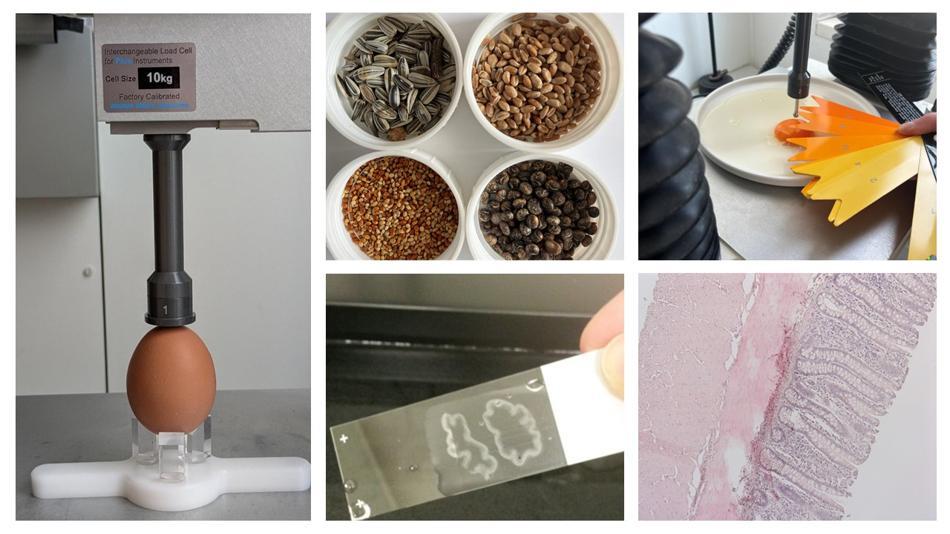 [LNF26] From Farm to Fork – Wie kommt unser Essen auf den Tisch?