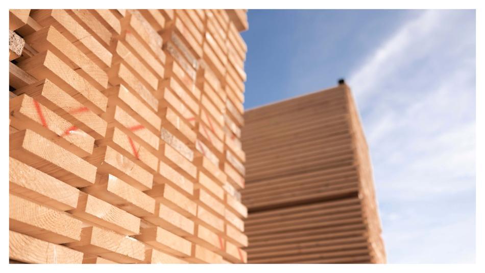 [LNF26] Wie groß ist eine Tonne CO2 in Holz gebunden?