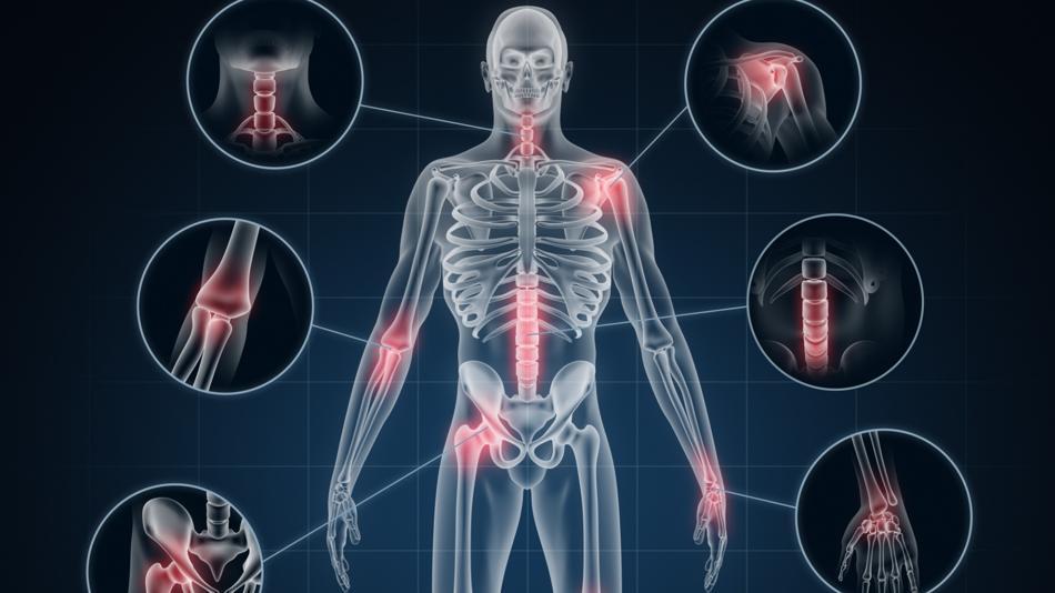 [LNF26] Regenerative physikalische Therapien