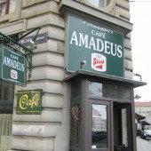 Malu & Friends – Musik im Café Amadeus Wien