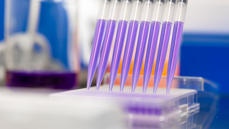 [LNF26] Wie können wir unsere DNA sichtbar machen?