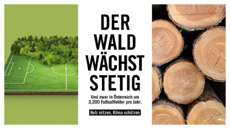 [LNF26] Warum hilft Holzbau gegen den Klimawandel?