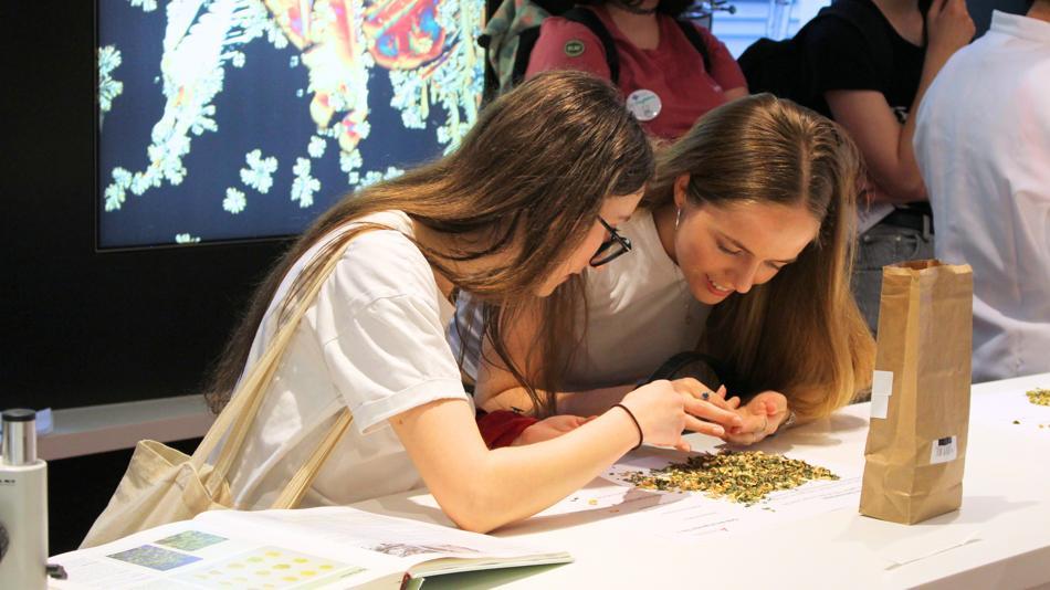 [LNF26] Wie werden Teedrogen und Teemischungen in Apotheken analysiert?