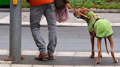 ACHTUNG Neuer TerminVortrag „Stress beim Hund”