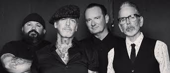 Social Distortion