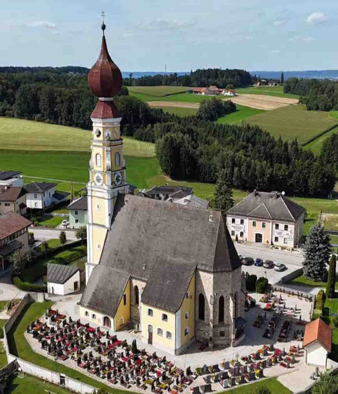 MUT in der Literatur und in der Musik