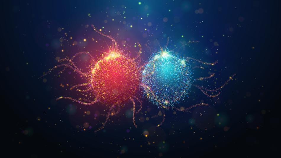 [LNF26] Biomarker im Tumorgewebe für Therapieentscheidung