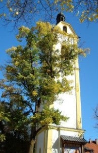 Hl. Messe