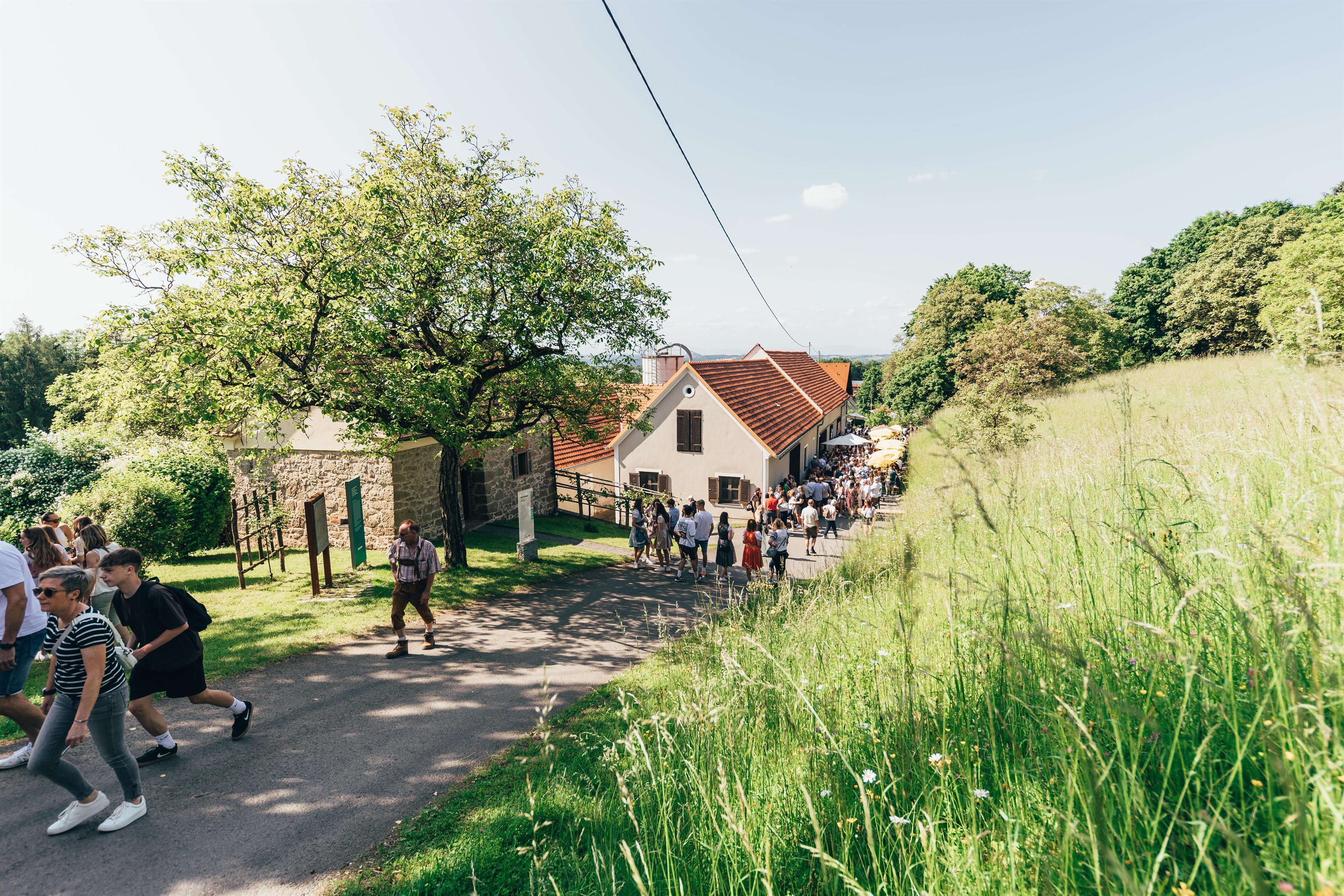 Kellerstöckl hoamsuachn