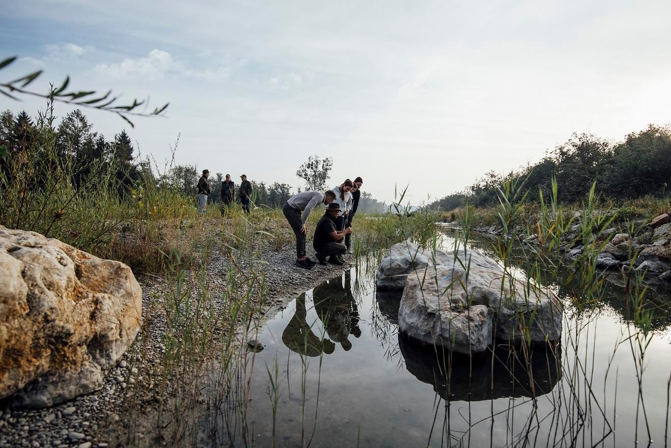 Naturschauspiel – Grenzgänger im Oktober