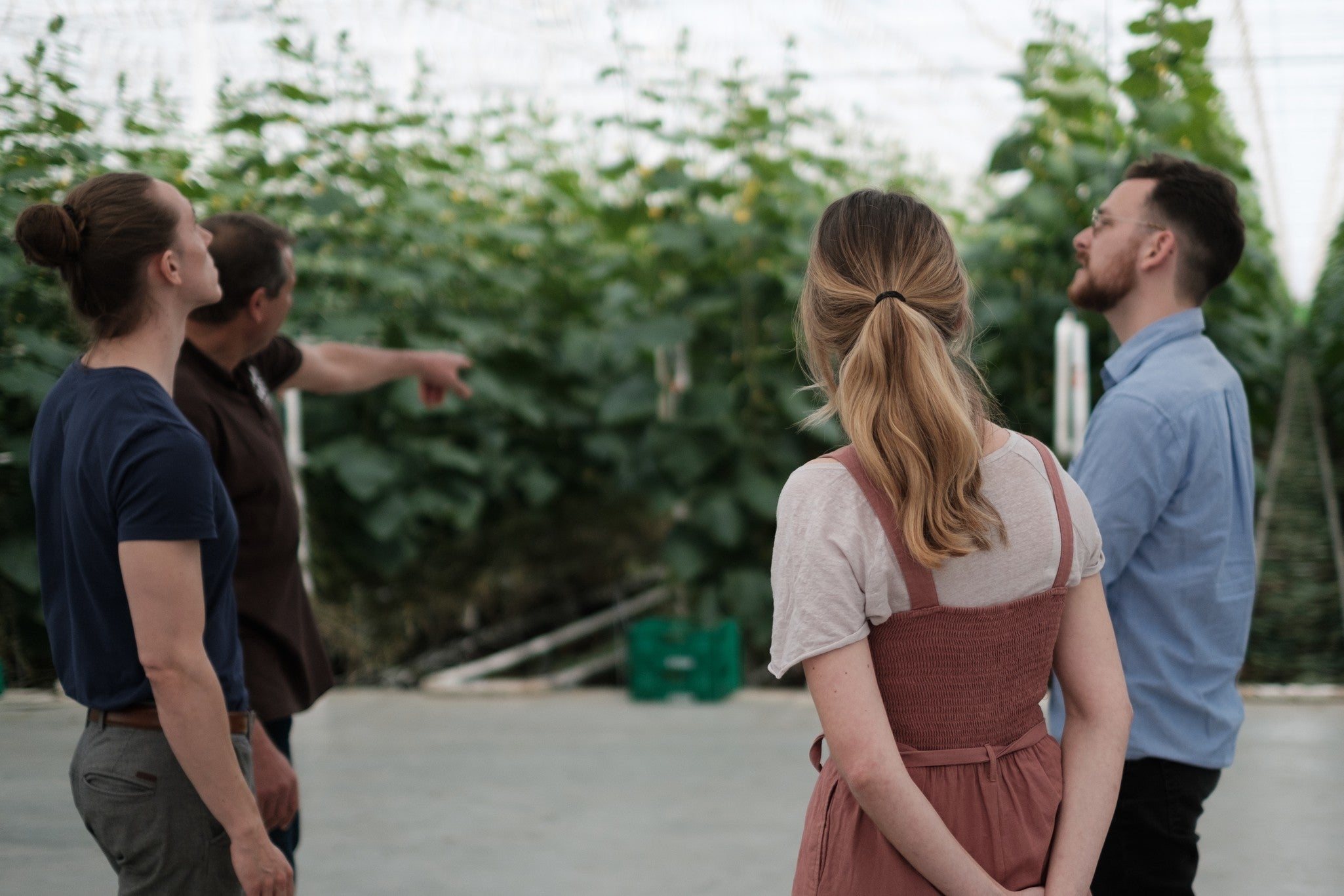 Besucherführung durch den BIOhof Geinberg