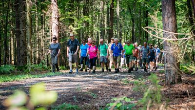 Oberdrosner Stüberlwanderung