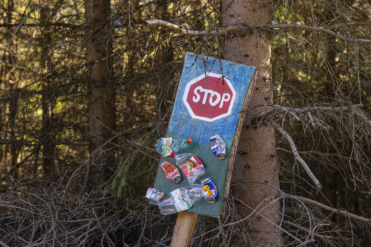 Mountain Clean up