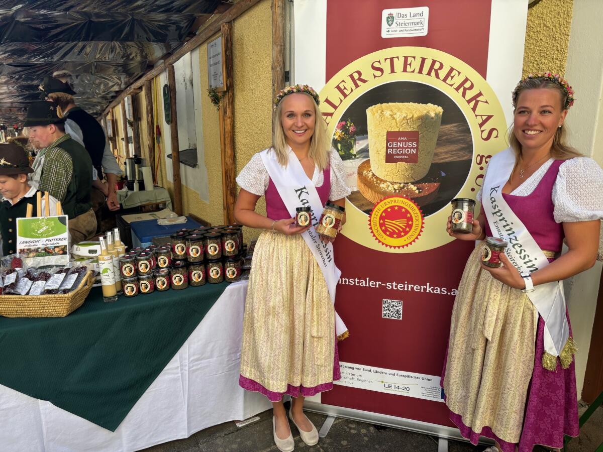 Käsefestival