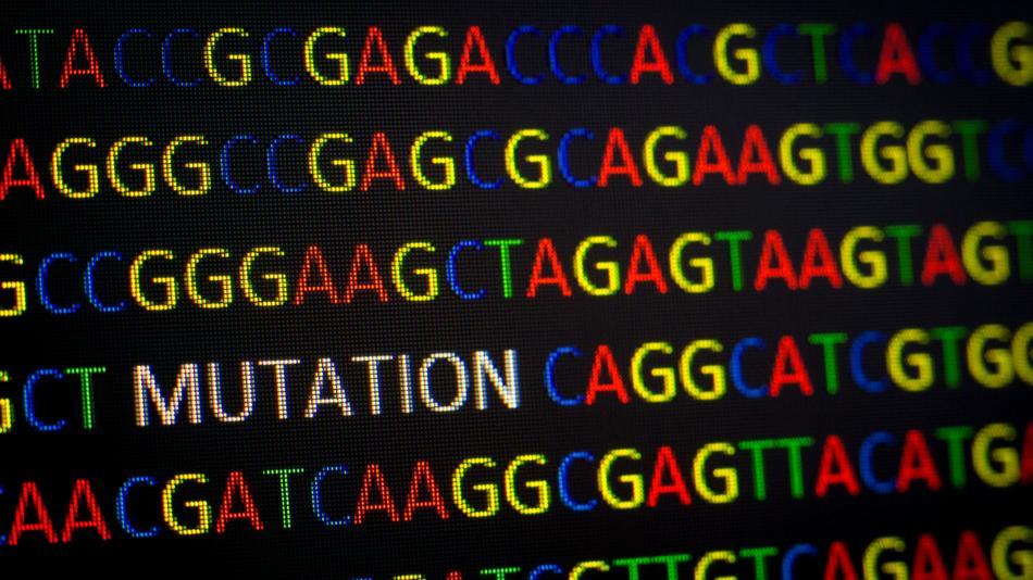 [LNF26] Highway2Cell - Zellen und Moleküle zum Greifen nah: 3. Was sind Gene und wie lesen wir sie?