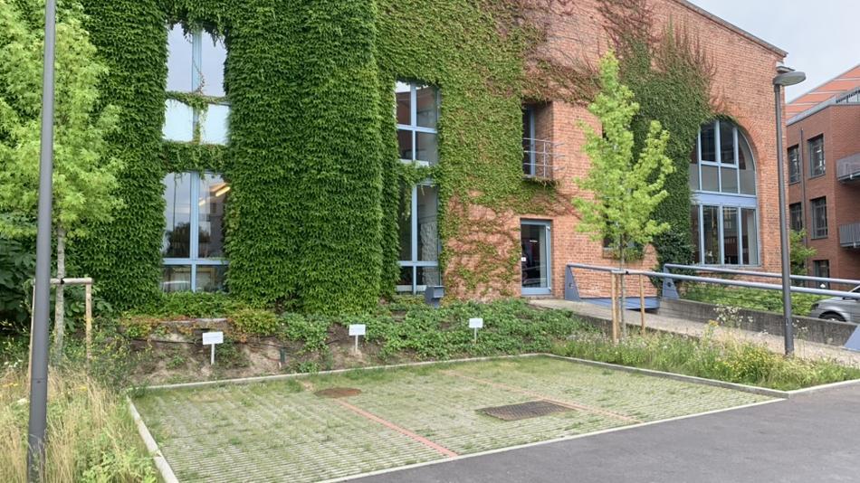 [LNF26] Wie können grün-blaue Infrastrukturen zum Regenwassermanagement beitragen?