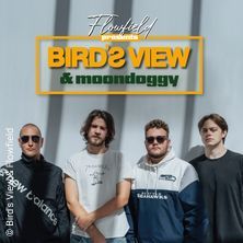 Bird's View & moondoggy