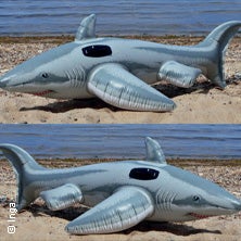 Poetry Slam Champions