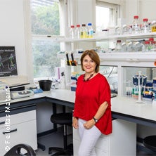 Frauen forschen: Maria Sibilia