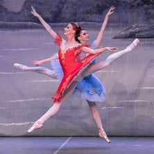Dornröschen - Der beste Ballett- Klassiker aller Zeiten