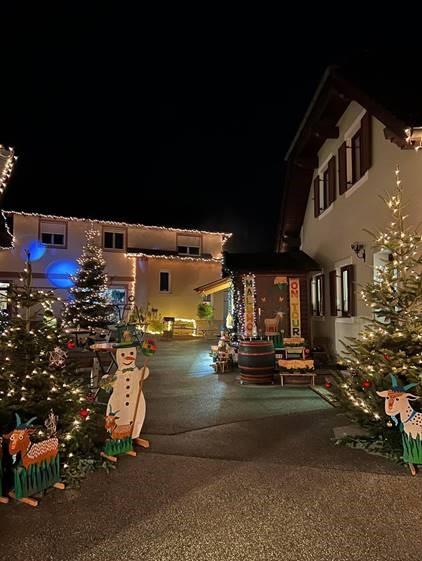 Rauhnachtslauf in Bad Waltersdorf