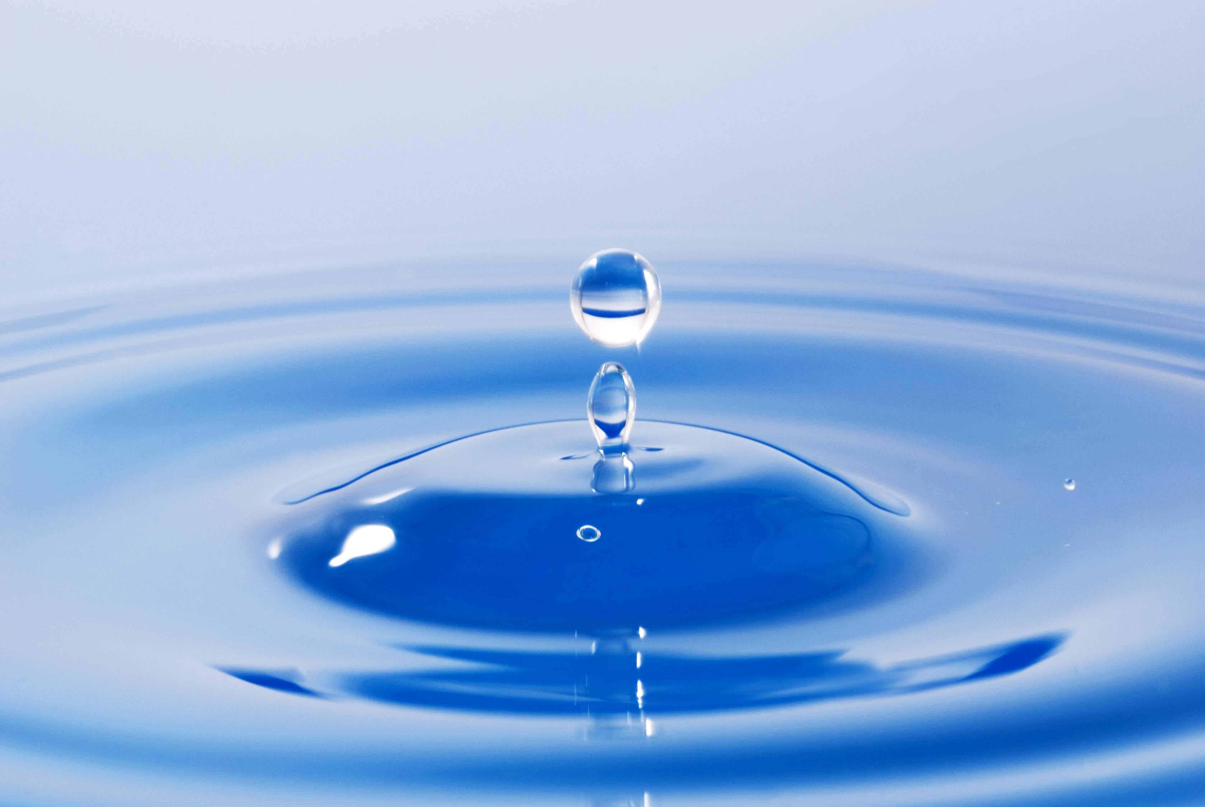 50 Jahre Kneippverein Aflenz Kurort & Umgebung