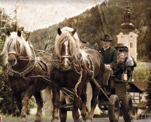 34. Zugpferdetreffen
