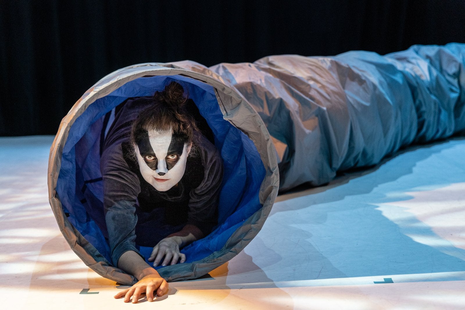 Dachs - von 5 bis 9 Jahre