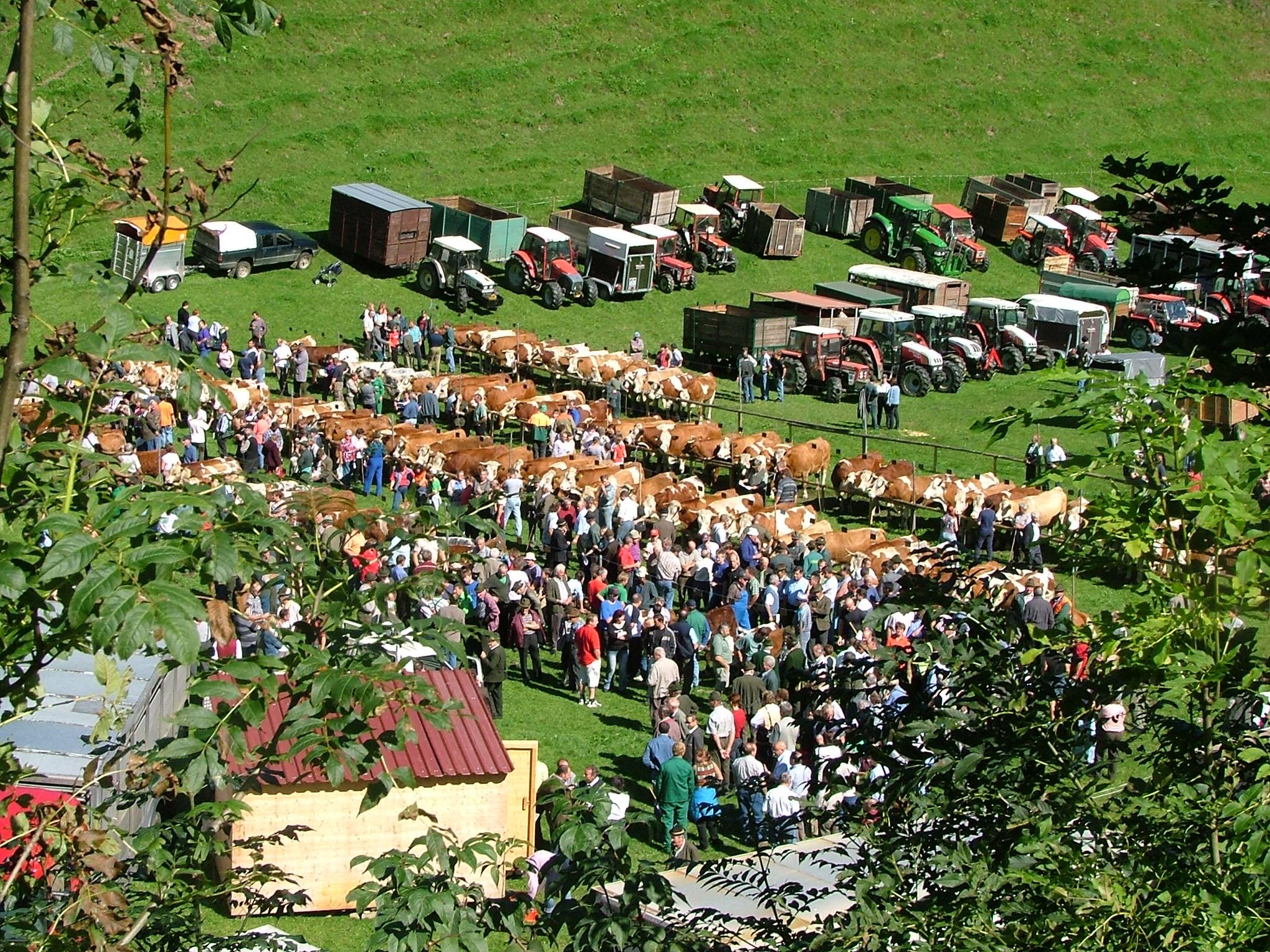 Herbst-Zentralviehmarkt in Gasen