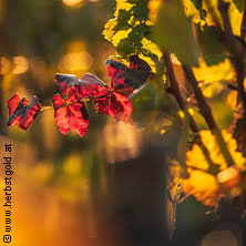 Herbstgold 2026