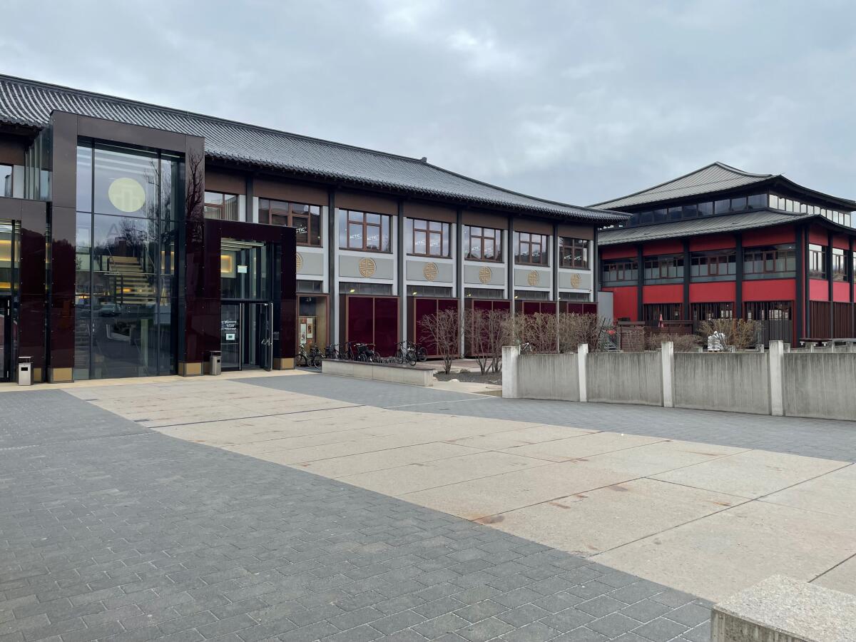 Vital-Pass Erwachsene: Mondscheinschwimmen