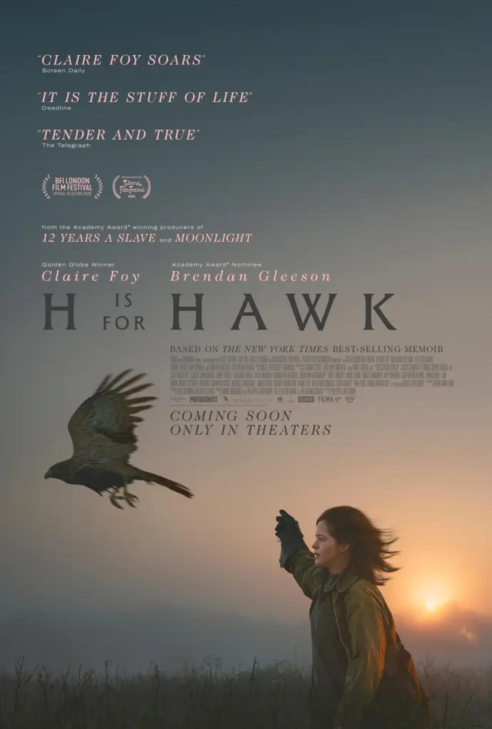 ELFs 2026 H is for Hawk