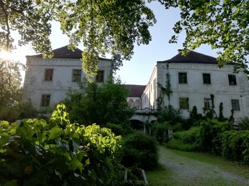 Kräuterführung: Kräuterlust zur Frühlingszeit, Gesund leben mit Knospen, Blüten und Kräutern