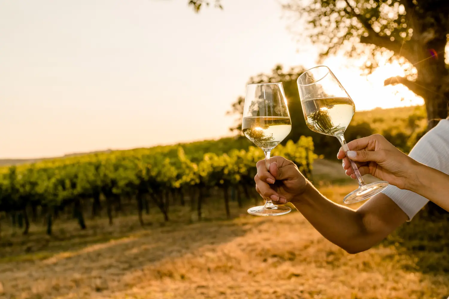 Sunset Tasting mit Horst Schuckert