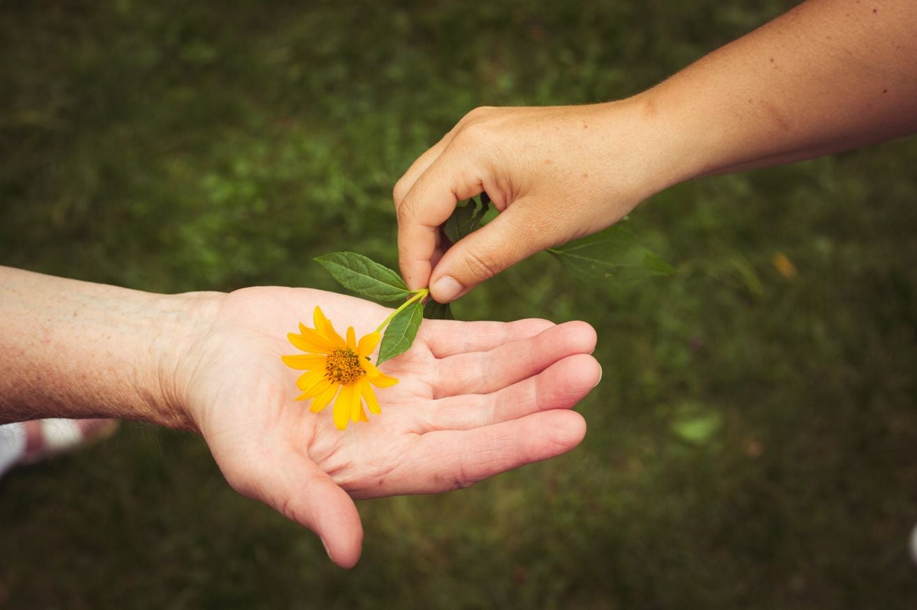 „Das Herz erinnert, was der Kopf vergisst"
