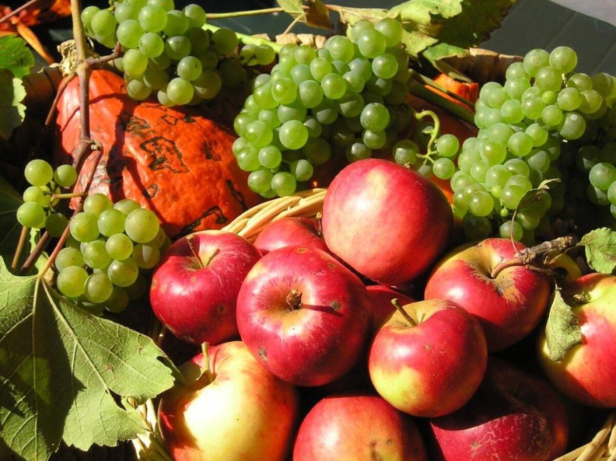 Pflanzerltauschmarkt