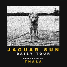 Jaguar Sun