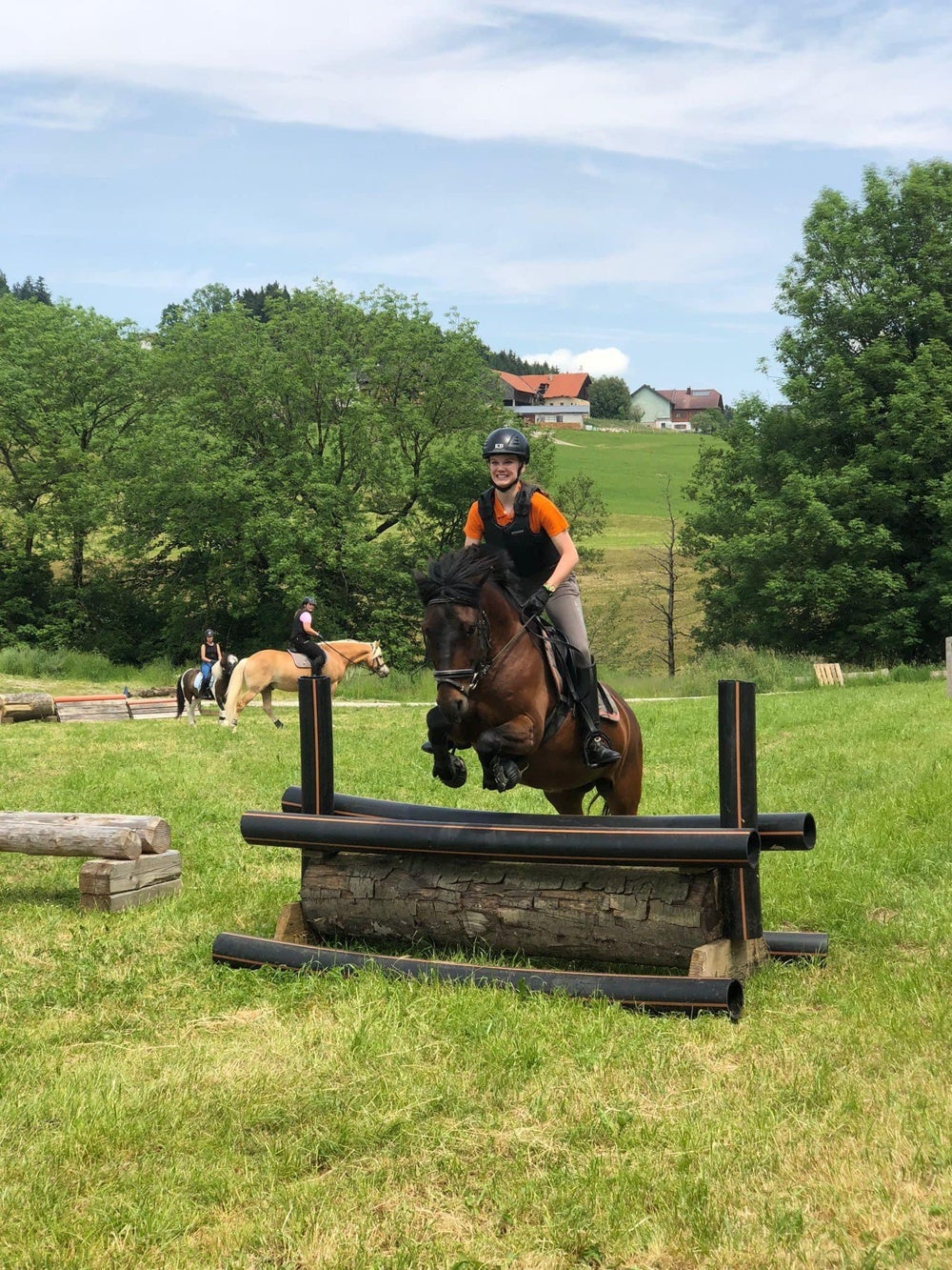 Pferde Sport & Spiel
