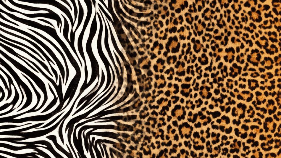 [LNF26] Wie bekommt der Leopard seine Flecken?