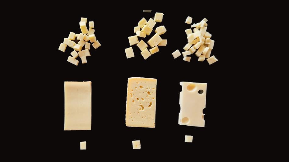 [LNF26] Wie unterscheiden sich Emmentaler, Tilsiter und Bergkäse – und woran merkt man das mit allen Sinnen?
