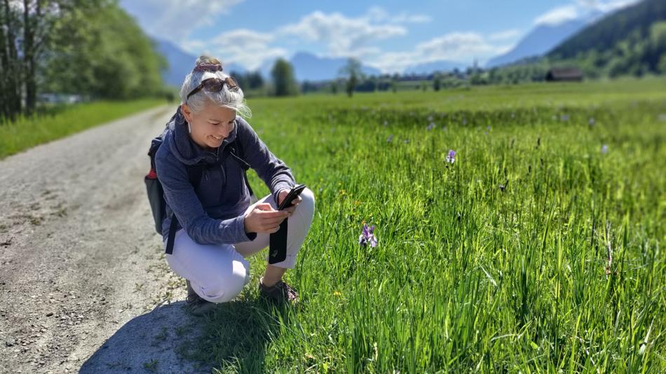 [LNF26] D03: Wie kann ich bei der City Nature Challenge 2026 mitmachen?